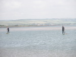 JT00939 Marijn and Brad stand up paddling (sup) on River Taw estuary.jpg